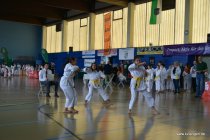 20190309_140447_dsc_2244