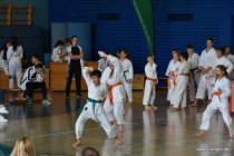 20190309_142018_dsc_2261