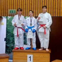 wa_image_2025-07-06_at_101453_1